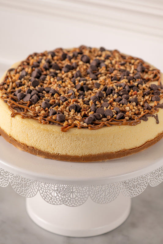 Cheesecake Tortuga