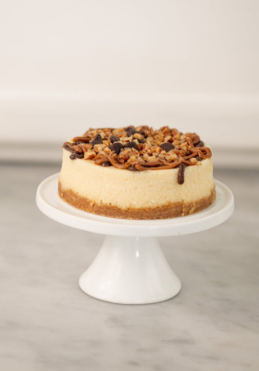 Mini Cheesecake de Tortuga