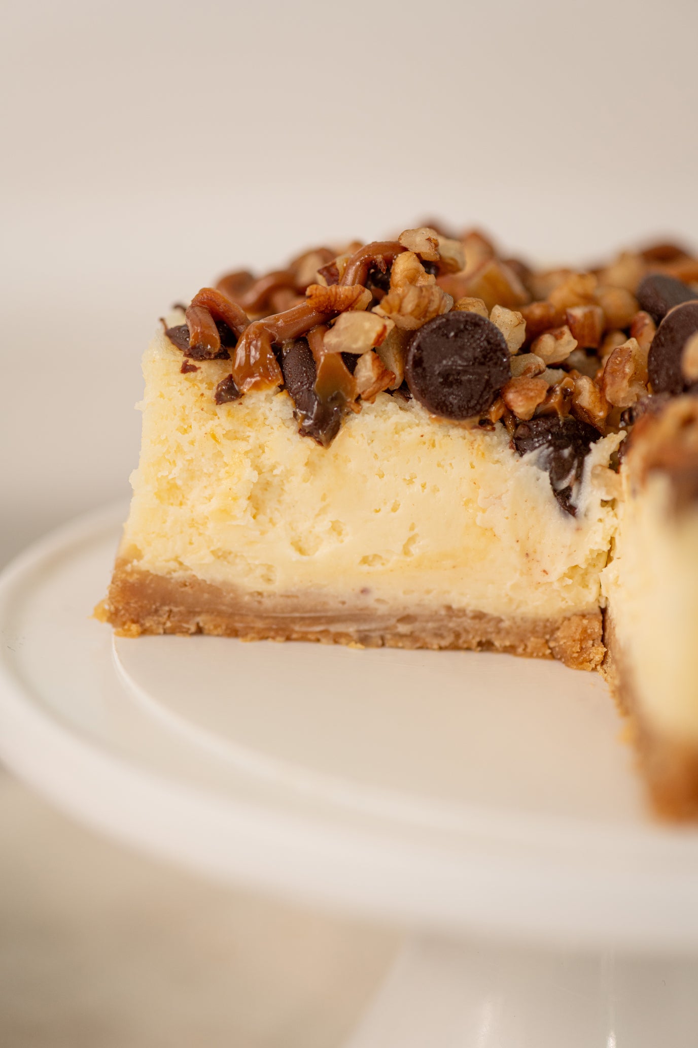 Mini Cheesecake de Tortuga